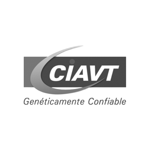 CIAVT-